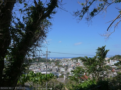 2012年末沖縄 061.jpg