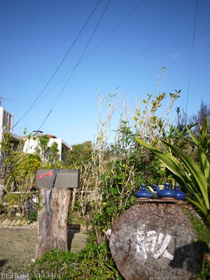 2012年末沖縄 073.jpg