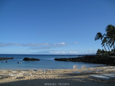 2013ハワイ島 065.jpg