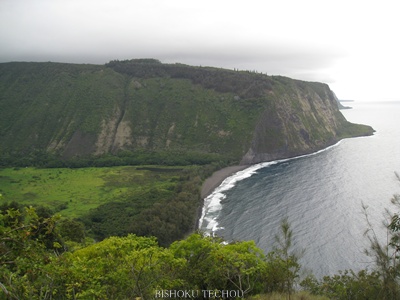 2013ハワイ島 094.jpg