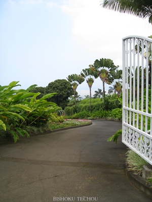 2013ハワイ島 214.jpg
